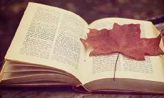 丰富多彩的秋季夜晚景象：用最美的文字描写秋夜