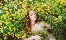 探寻最美的人生智慧:收录好听的人生格言供思考借鉴