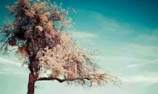 多彩缤纷的自然景观:唯美描写大自然美丽景色的优美语句