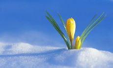 探秘抖音上让人感动的暖心友情句子,这些简短的话语将温暖你的心灵