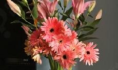 如何用一句长长的话来表达我们感到开心的情绪?