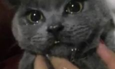 让你感到心痛的令人崩溃的一句话