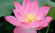 初夏的微风下,书页翻动的声音如诗如画,沁人心脾的句子从字里行间泛起