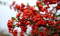 祝愿本次员工年会充满欢笑和温情,让所有员工度过一个难忘且快乐的夜晚!