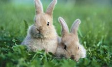 热烈欢聚,家庭团圆,人人喜笑颜开的场面让人心情愉悦