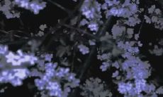 反思:女性眼中最具内疚感的男性情感语言是什么?