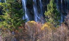 如何以短信方式向住院的长辈表达关心和祝福