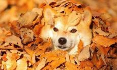 用语巧妙的长句子大全,哄男人开心的技巧和实用方法,让你成为温柔贤惠的女神!