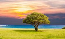 发表一些富有感情的描述母爱的句子，表达心情