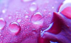 祝2022新年开工大吉，万事如意，生意兴隆，财源滚滚，事业蒸蒸日上，家庭和睦，健康快乐！