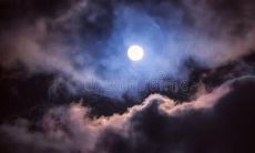 我感到极度失望和沮丧，因为那个人没有兑现我的期望和信任，让我陷入了深深的失望情绪中