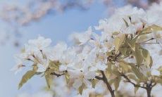 完成考试后,如获至宝之感:充满喜悦的考场收获与心情表述