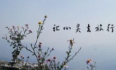 不要再因为错过了某些事情而遗憾一生,而是积极去追寻生命中的美好时刻