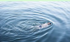 在海边享受快乐时光的幸福句子合集