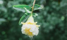 制作相册的过程中收集到的令人愉悦的言句,带给您无尽的欢乐!