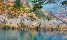 从内心深处流露出的兴高采烈之情的语言表达——形容看到一个人开心的句子,形容开心快乐的句子