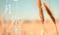 精选的唯美句子,向九月问好啦!