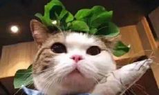 如何用温暖的言语安慰女朋友哭泣的心灵，让她感受到你的关爱与陪伴？