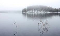 创意小组命名和口号大全:从中选出一个最适合您的团队名称和口号!