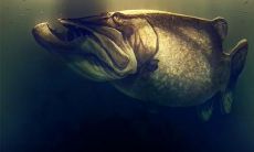 感到失望并考虑离开公司的阐述