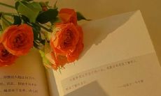 让你感受到暖心甜蜜的几句话,充满柔情的词句,浓郁可爱的情感表达