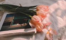 祝愿一切平安的心语：祈愿您和您所爱的人们安康无恙、繁荣富裕、幸福美满、充满温情和宁静安宁的美好生活