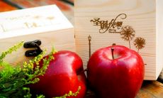 精选平安夜和圣诞节的祝福语大全：祝您平安喜乐、心想事成，在这温馨的佳节里享受到家庭团聚、友情满满的温暖；让我们共同欢庆耶稣诞生、祝福您新年万事如意、幸福快乐！