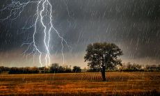 一些细致入微的句子,将逐字逐句地描写雷雨的声音、气氛和景致