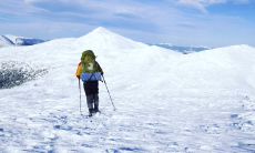 2021年最激励人心的努力语录:用正能量句子,激发个人潜能,为自己活出光芒!