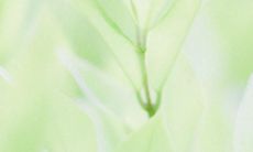 通过嬉戏游乐获得欢乐的快乐感受:我感觉非常愉悦并且充满了喜悦!