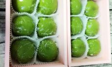 如何用简单的句子让自己变得快乐和满意,为自己的幸福和成功创造条件?