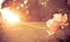 必须阅读的句子，以确保男人在恋爱中做出正确的决策（每句话都有价值）