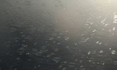 用生动的语言描绘小雨：细雨落下，点点水珠撒满大地，清新的空气中弥漫着雨滴的清香，微风轻拂着树叶，嫩绿的叶片润湿闪烁着晶莹的光芒