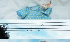 怎样在情绪低落时发布正面有效的朋友圈来提振自己的心情