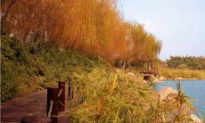 诗意绵长，令人神往的望穿秋水情景描述