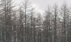 一组温暖触动心灵的关于冬至的深沉而感人的句子