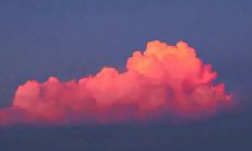 无法掩藏的遗憾情绪：让人感触万分的经典表达方式