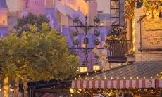 探寻冬日美景：用优美句子描绘冬天的神秘魅力