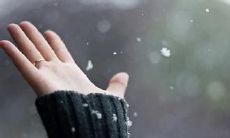 谁能体会手臂肌肉撕裂的剧烈疼痛,带给我内心无法承受的痛苦?