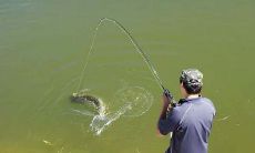 如何在钓鱼中坚持座右铭，并获得成功的技巧？