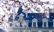 盘点一组关于亲情的经典句子、动人诗歌及感人曲词,深刻展现家庭之间所拥有的那份永恒情感