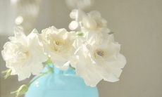 美容院发出清明节放假问候短信，愿您度过一个放松美丽的假期！