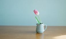 一些可以用来向朋友、家人、同事等人说早安的问候语句子