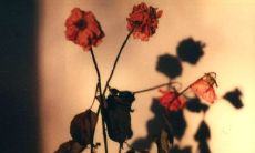 感伤至极的话语:让人内心崩溃的掏心说说及其短语