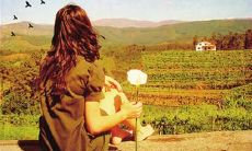 摆脱心酸爱情句子,告别卑微痛苦的感情生活