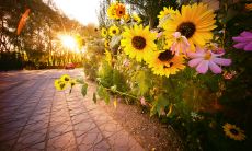 逐字又逐行，详细描写环境的华丽句子从句首到句尾，为读者呈现出一幅栩栩如生的画卷