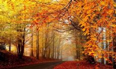 今天让我感到无比快乐的短语 今日喜悦洋溢的词句