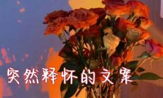 如何用一句长长的话来安慰自己，让内心彻底释怀？