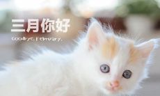 心灵渐暖，二月告别，三月迎来新生：让这些带字图片为你带来美好心语