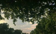 无法释怀的秘密深深埋藏在心底，令人烦恼不已